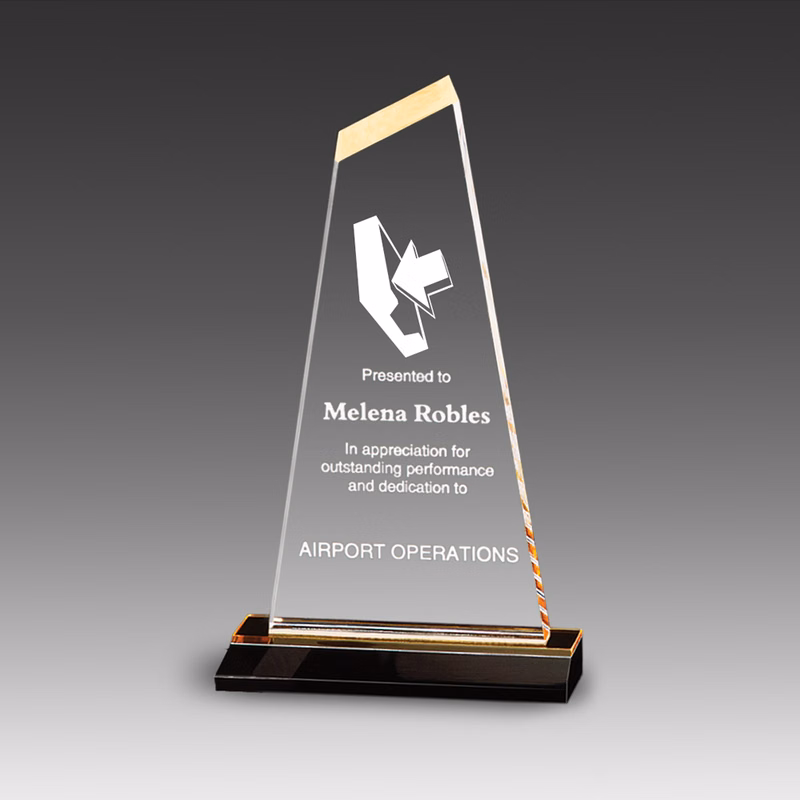 Reflections Optima Award (6"x11")
