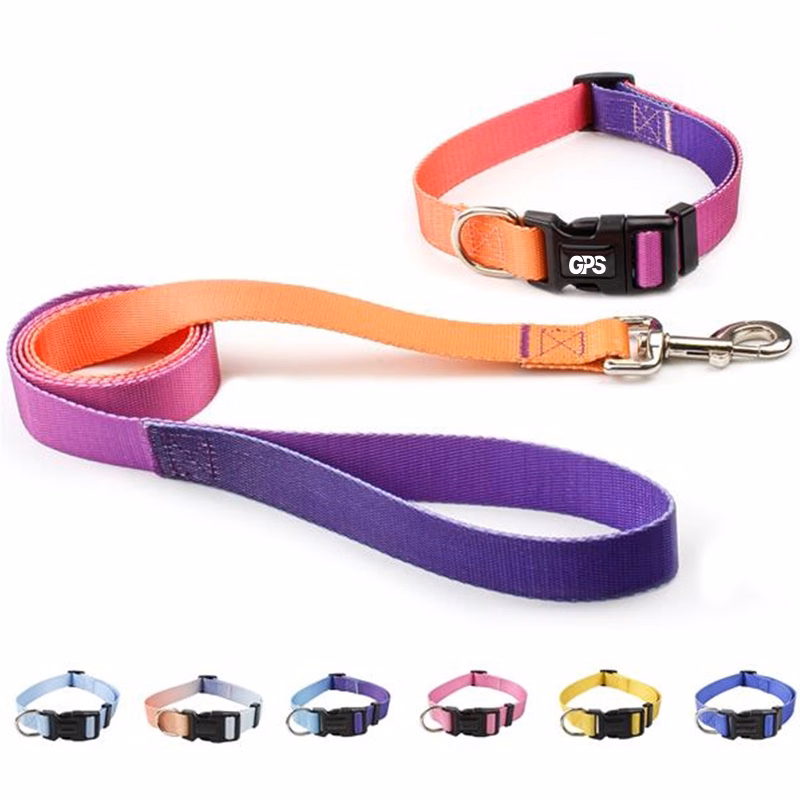 3/4 " Width Gradient Nylon Pet Collar with Traction Rope