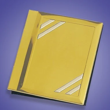 2-TONE BRASS & CHROME PHOTO ALBUM 1