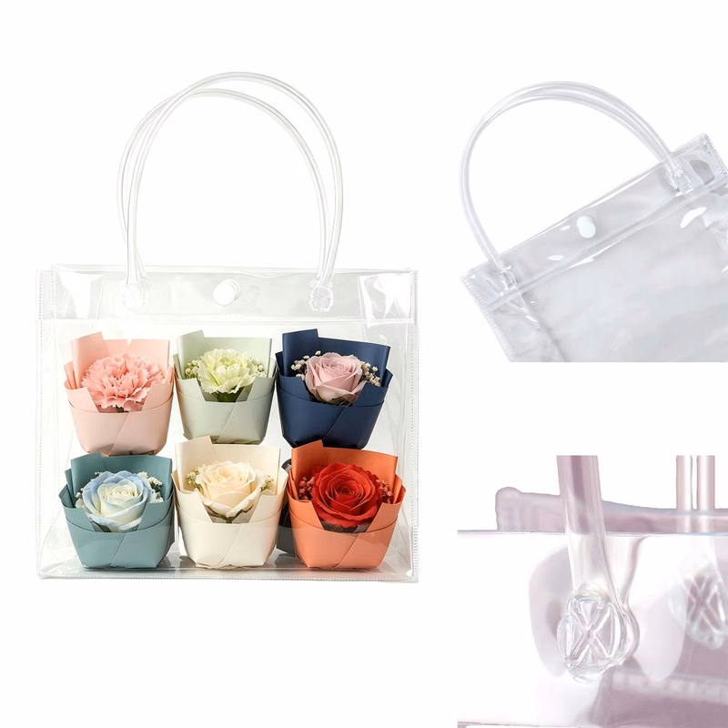 Transparent Tote Bag