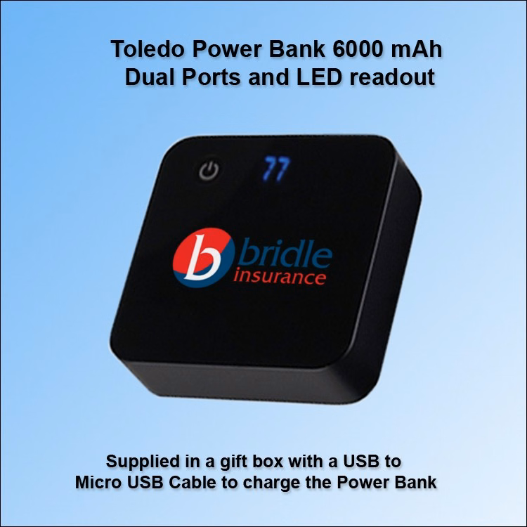 Dual Port Toledo Power Bank 5000 mAh