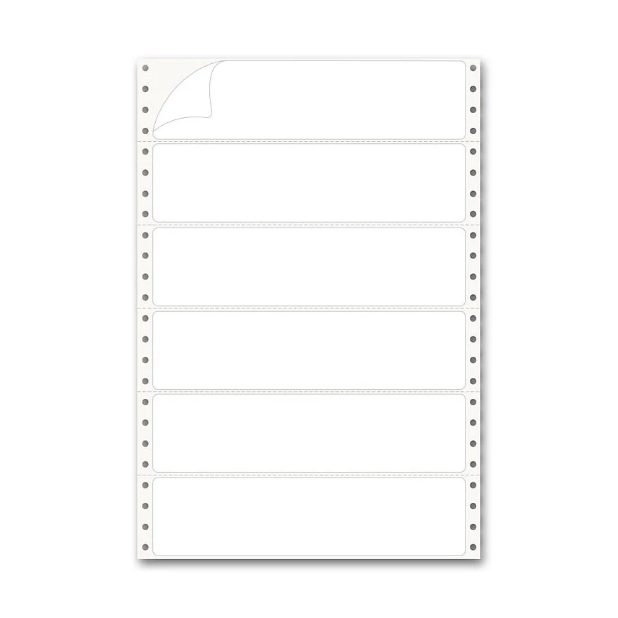 Pinfed Typing Strip Labels 1