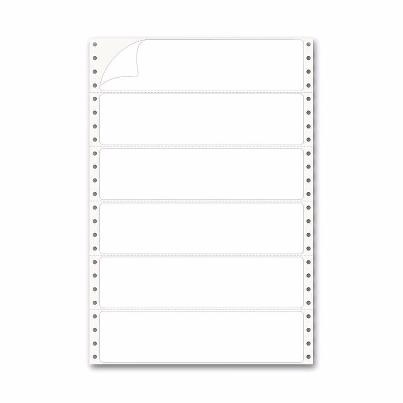 Pinfed Typing Strip Labels