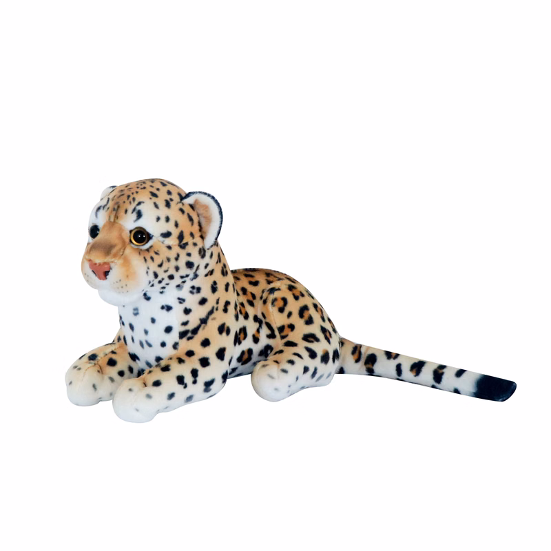 Sitting Leopard