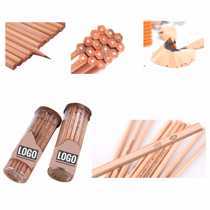 Eco-Friendly Student Pencil Stationery