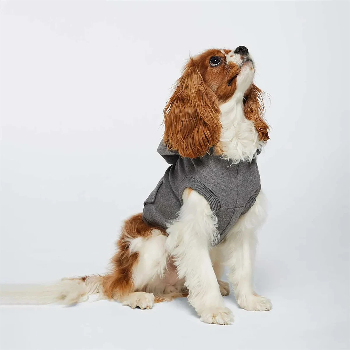 Doggie Skins 3-End Fleece Hoodie 1