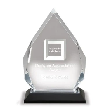 5 1/4" x 8 3/4" Inch Silver Diamond Impress Acrylic Trophy 1