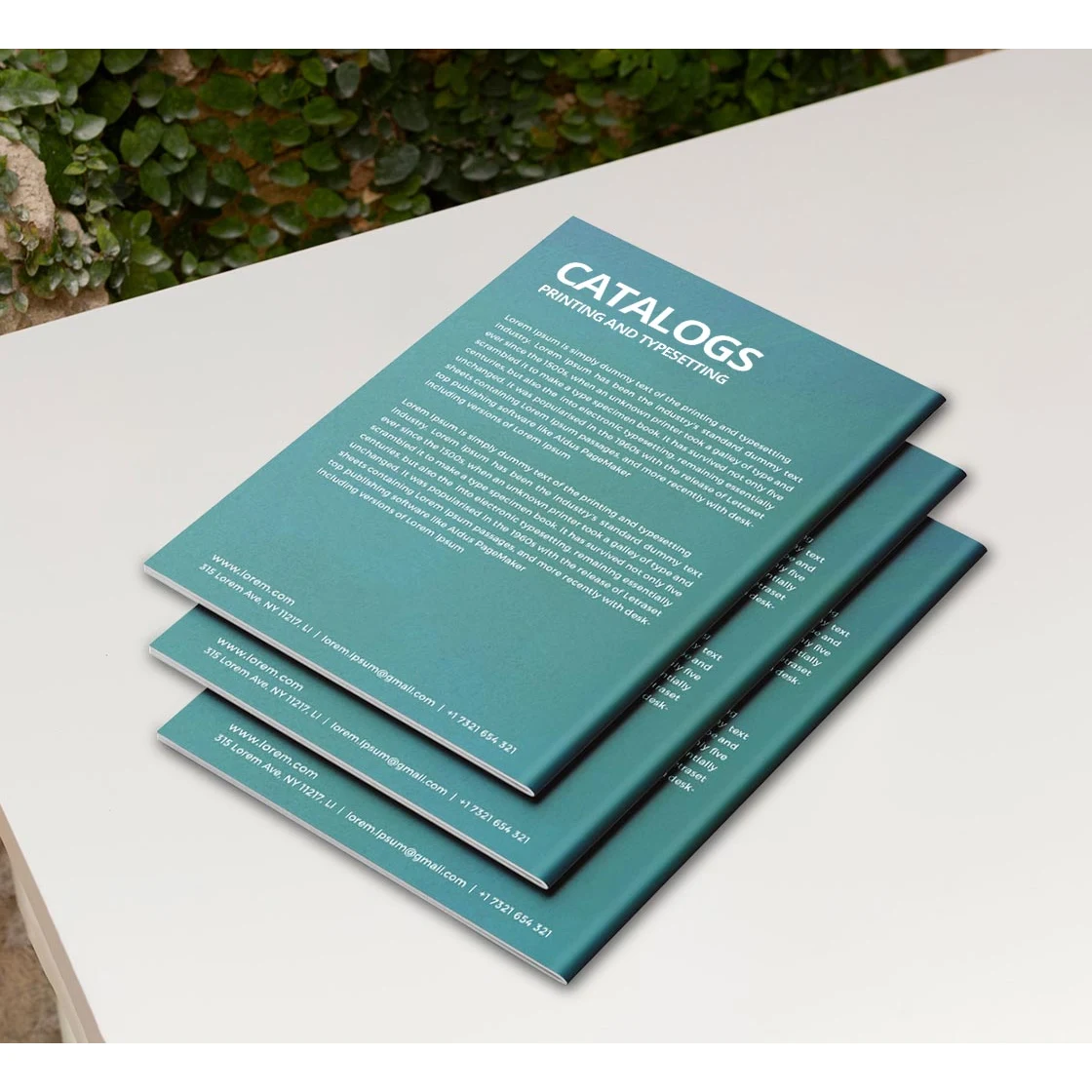 Catalogs - Pack of 10 (11.5" x 8.5") 1