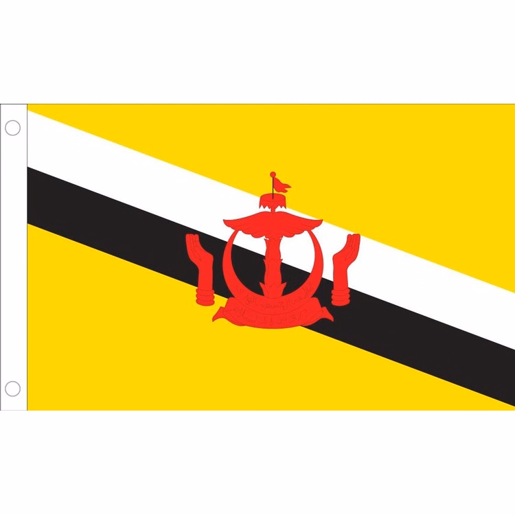 Brunei Flag - 3' x 5' - Nylon