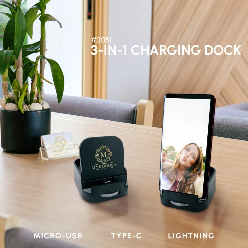 3-IN-1 Charging Dock 1