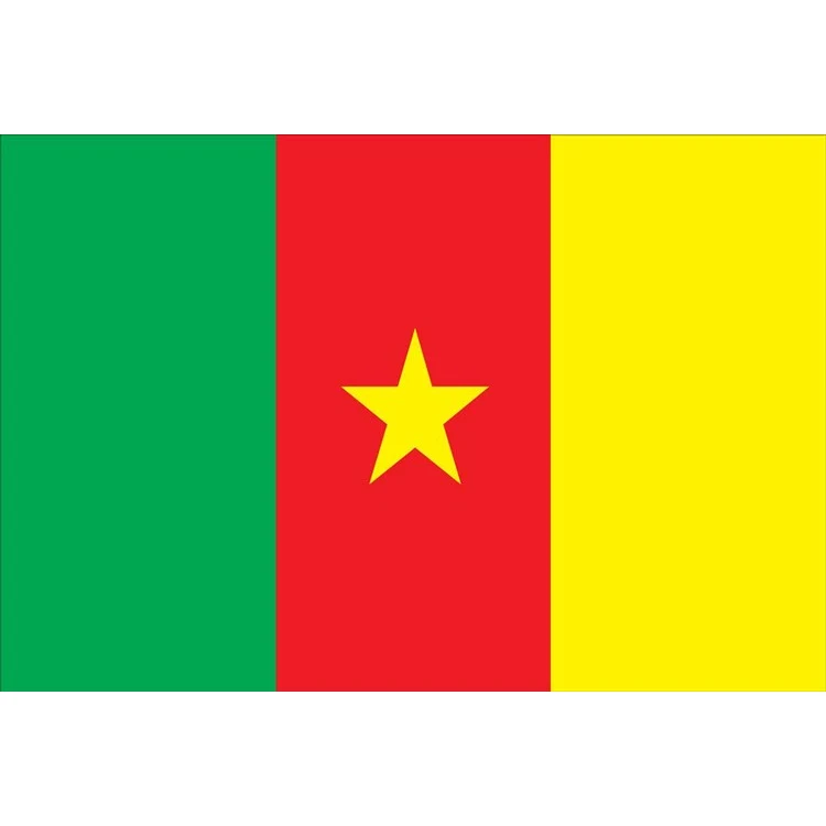 Cameroon Flag - 5' x 8' - Nylon 1