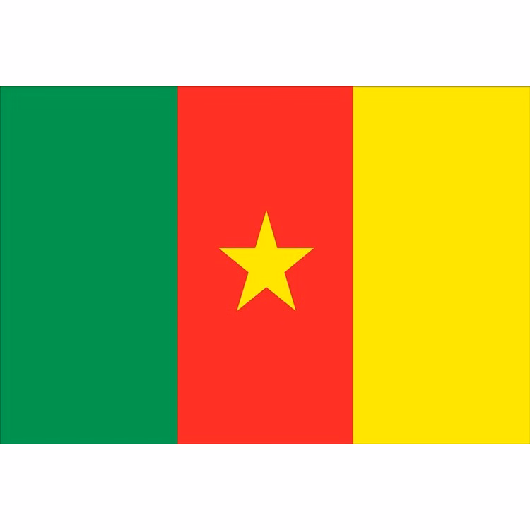 Cameroon Flag - 2' x 3' - Nylon