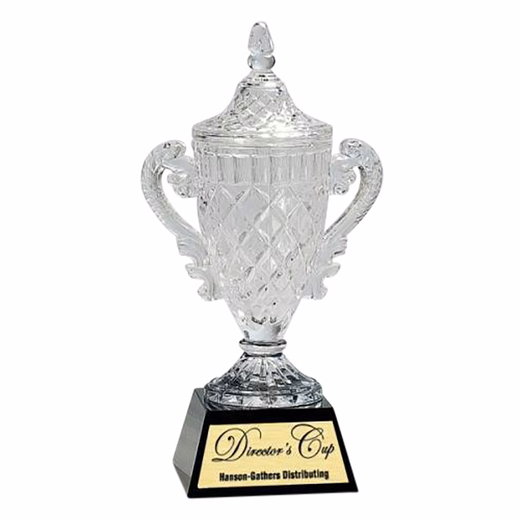 Capri Crystal Cup Award