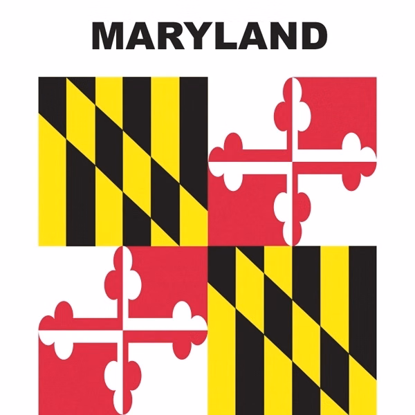 Mini Banner - Maryland