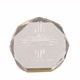 7 Inch Gold Octagon Acrylic Award