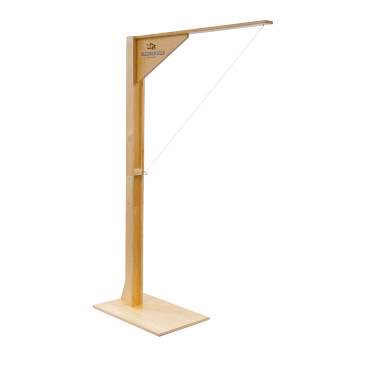 Free Standing Ring Swing Game (Imprinted)