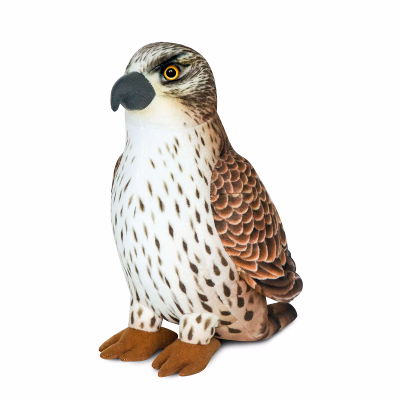 Falcon