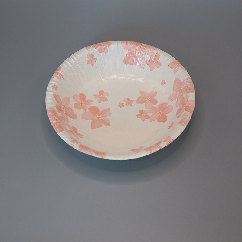 Disposable Paper Plates