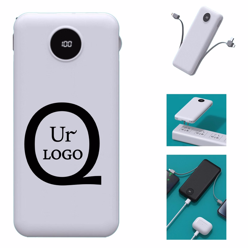 Portable Charger W/ Plug