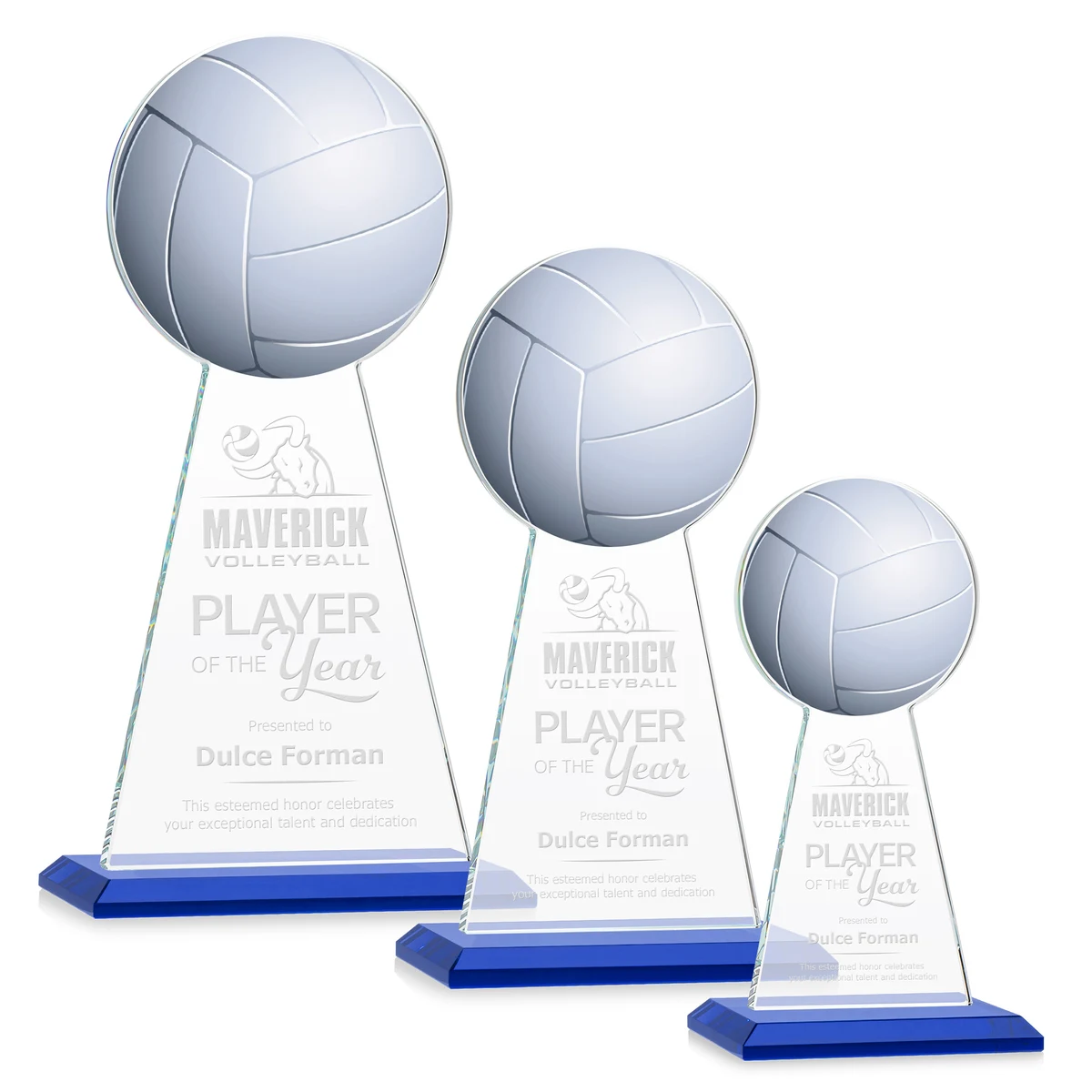 Edenwood Volleyball Award - Blue 1