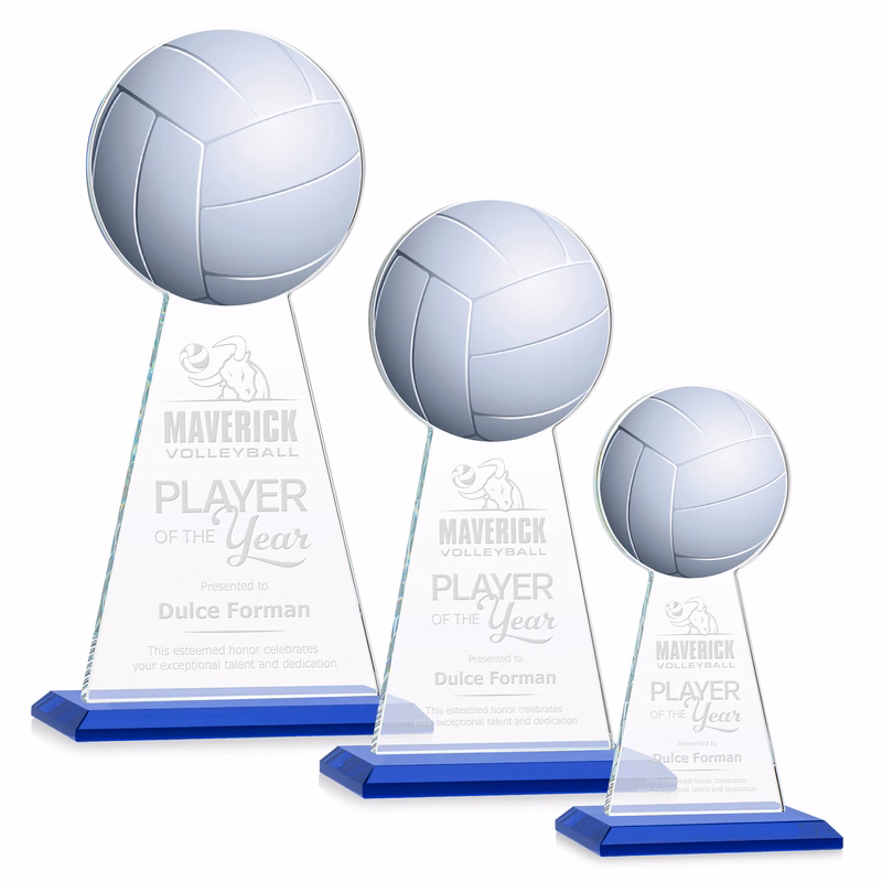Edenwood Volleyball Award - Blue