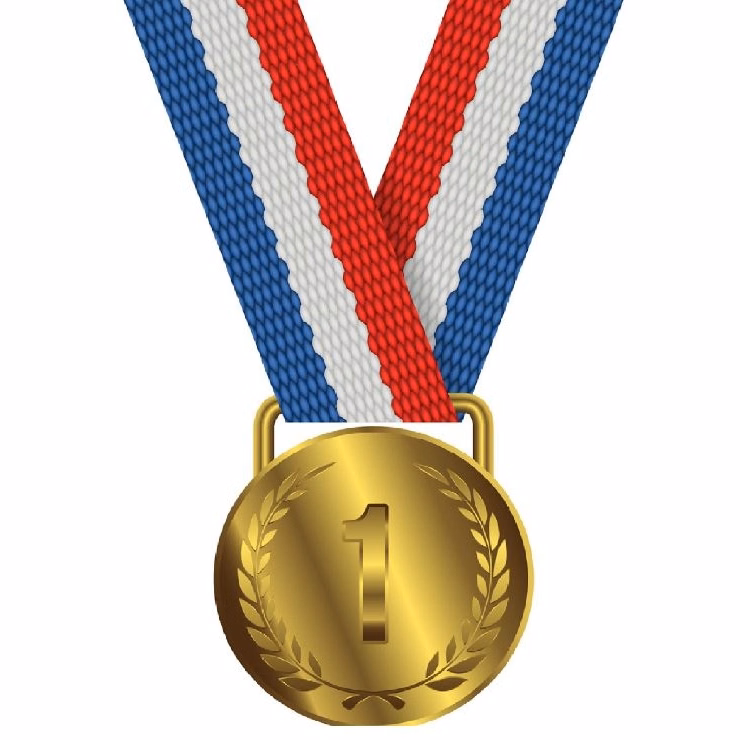 Customized Antique Gold Plated Zinc Alloy Medal