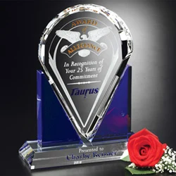 Distinction Award 1