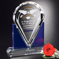 Distinction Award