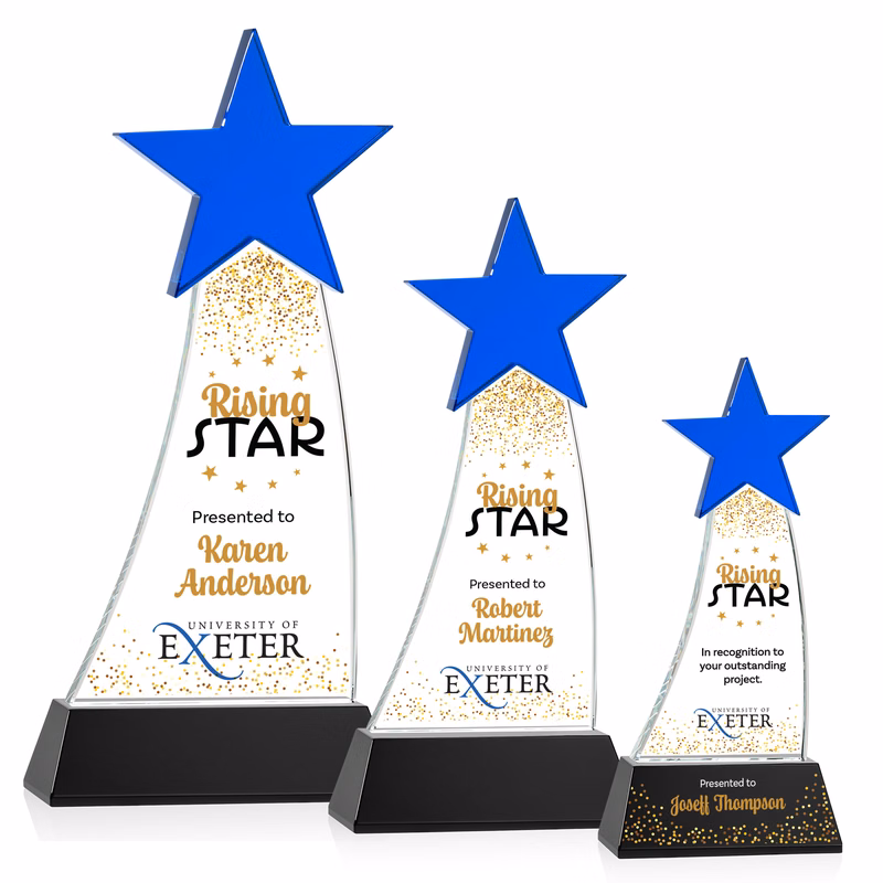 Manolita VividPrint™ Award - Blue/Black