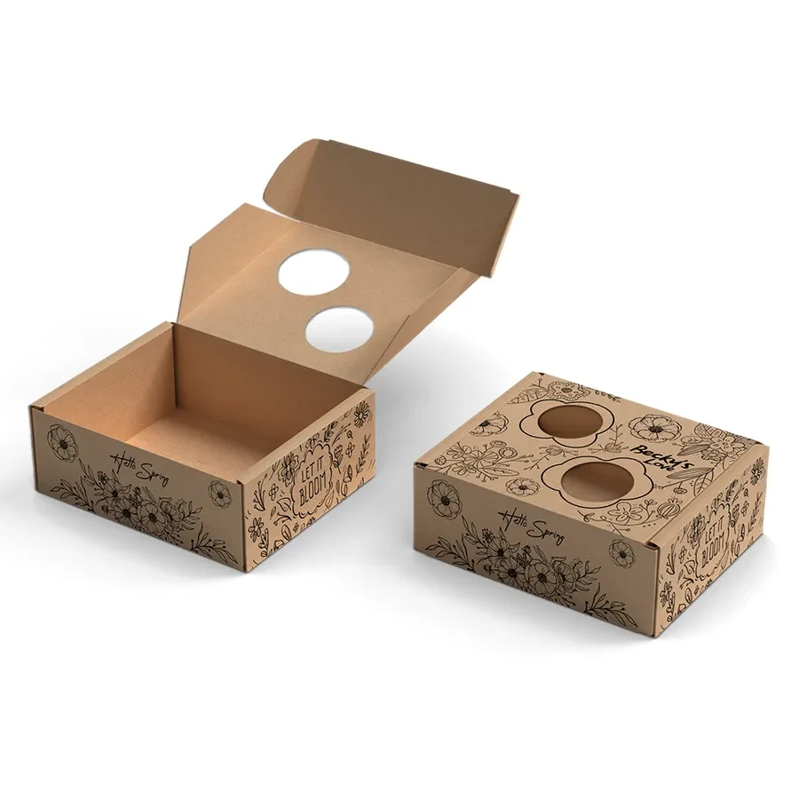 Printed Hollow Kraft Mailer Box 1