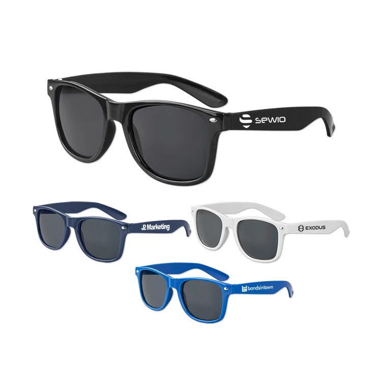 Polarized Iconic Sunglasses 1