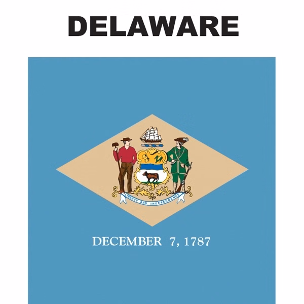 Mini Banner - Delaware