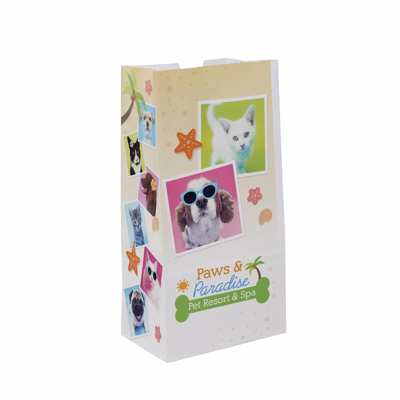 SOS 4# Full Color White Paper Bag (5"x 9.75"x 3.125")