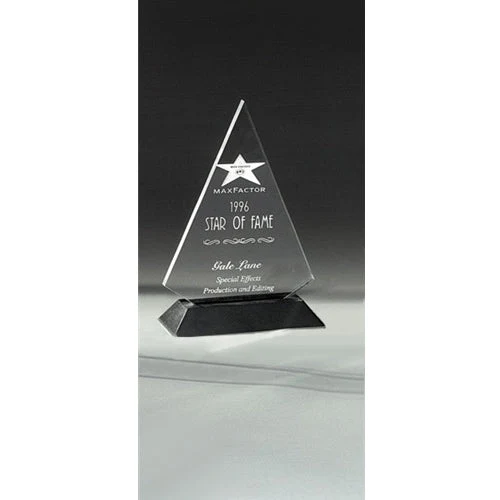 Triangular Acrylic Award 1