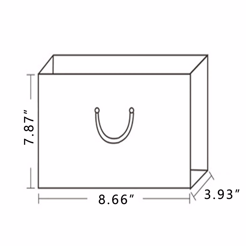 Custom Paper Gift Bag with Handle and Printing Options