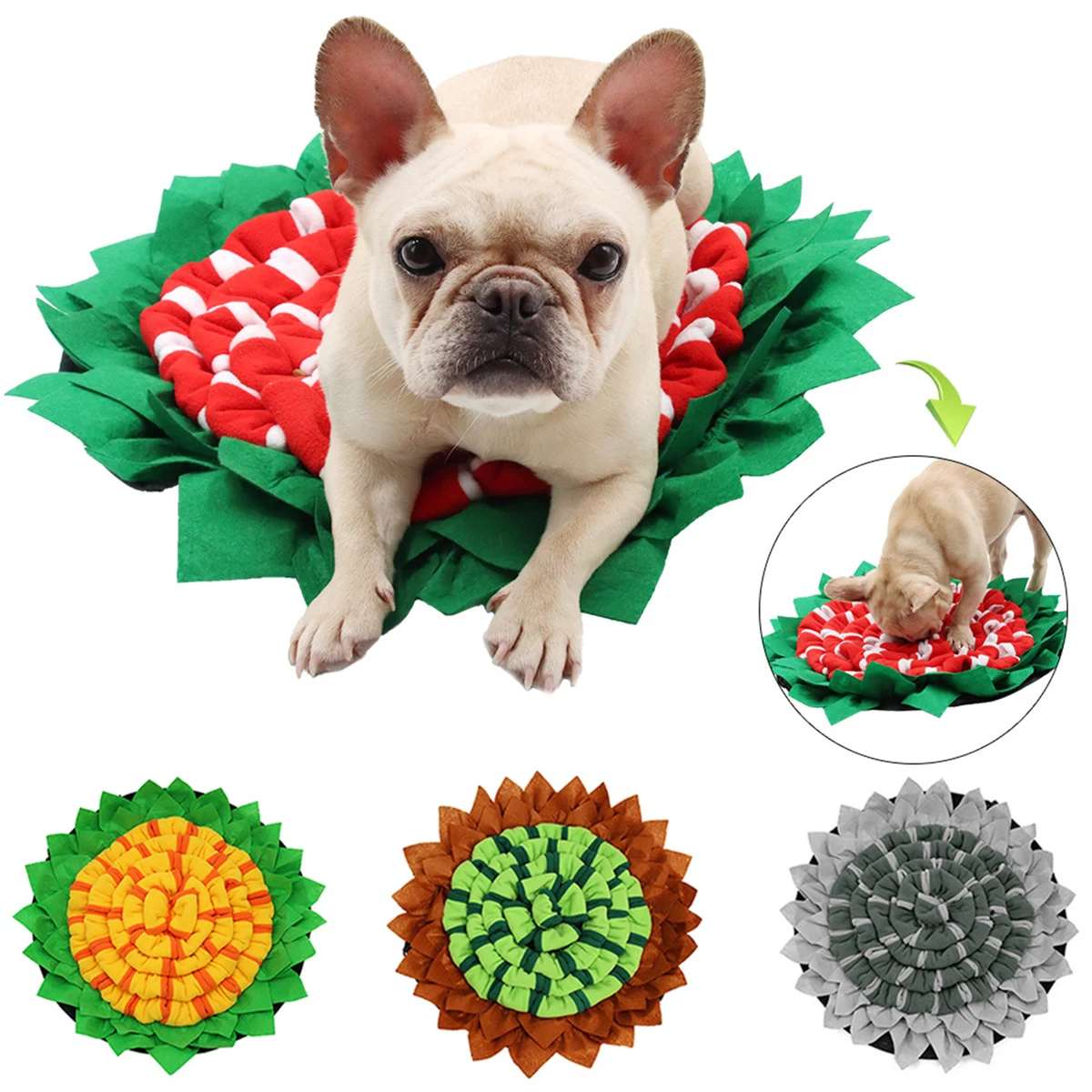 Training Dogs Mat 1