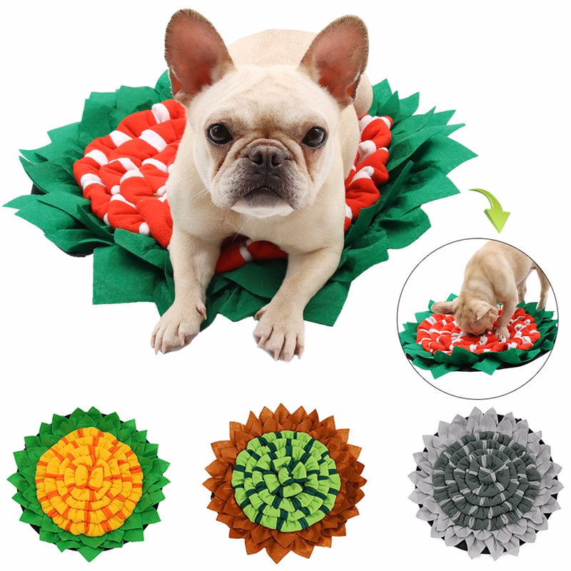 Training Dogs Mat