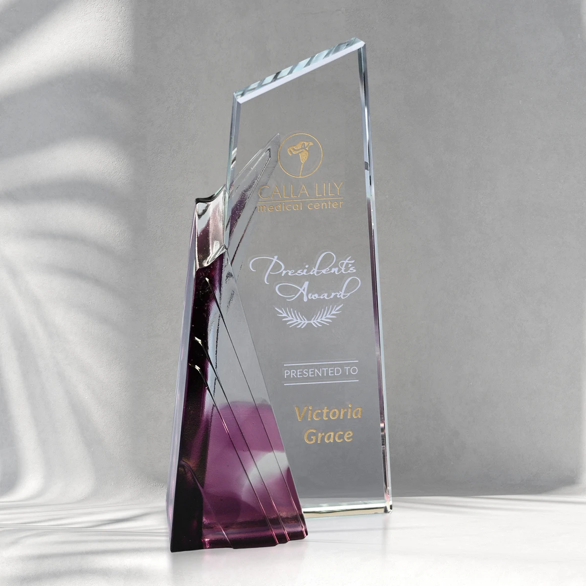 Achievement Award 1