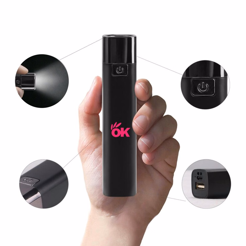 Flashlight Power Banks