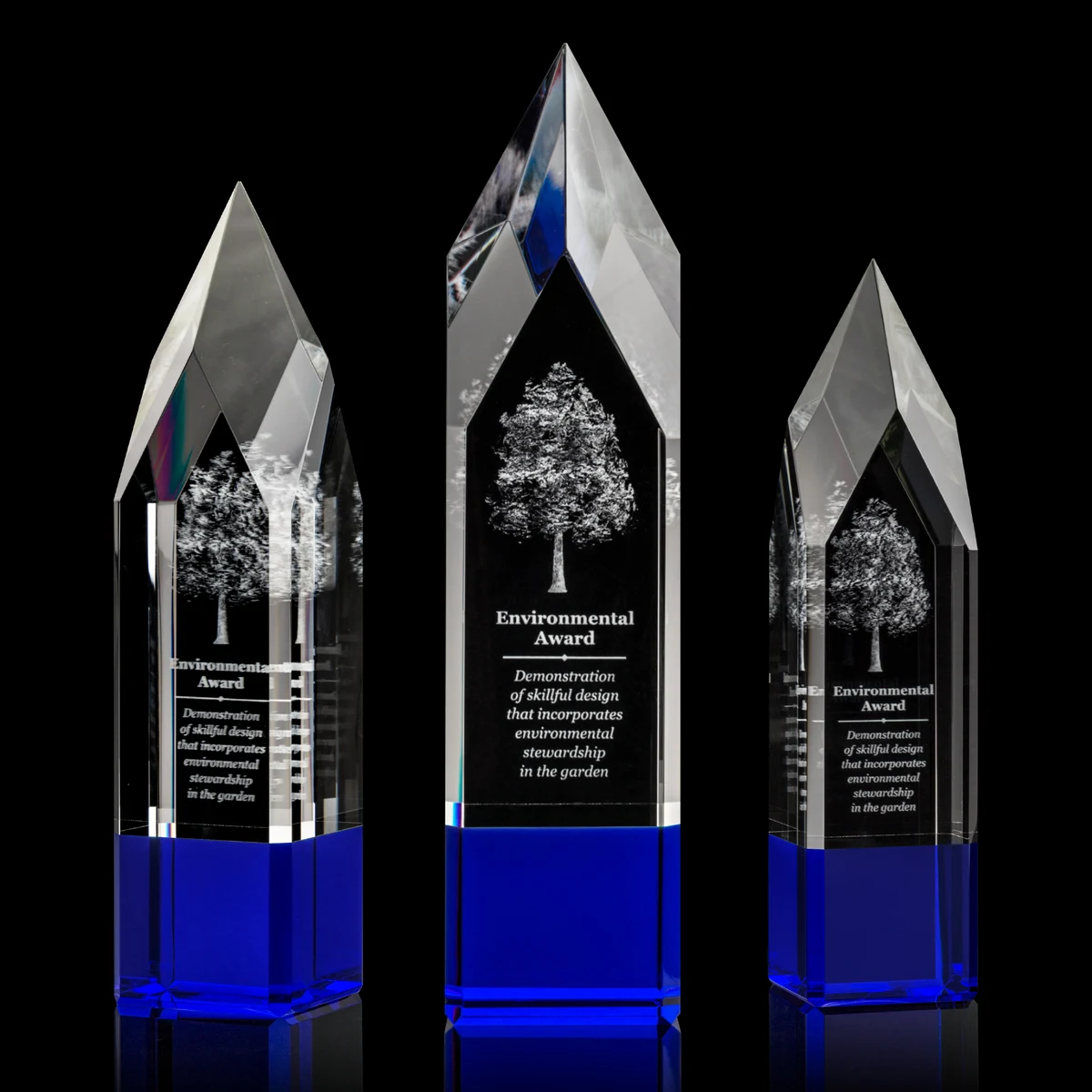 Coventry 3D Award - Blue 1