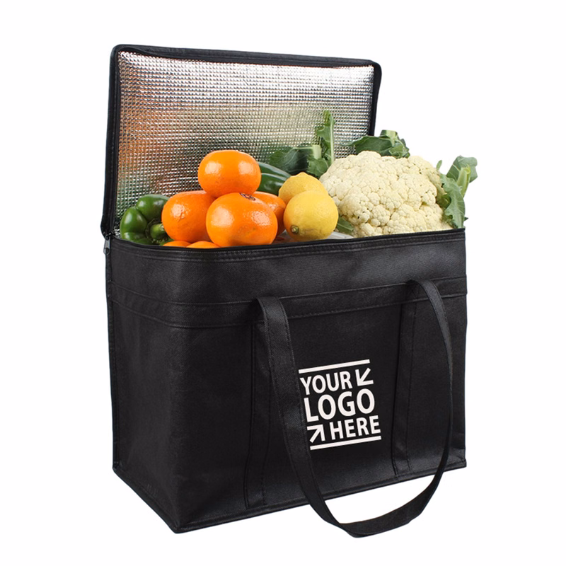 Large Lunch Box Soft Cooler Tote Bags