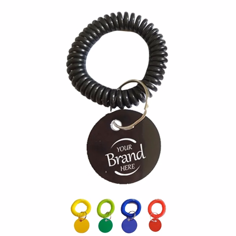 Spring Coil Spiral Key Chain