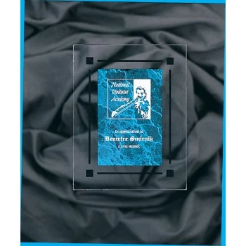 7" x 9" Blue Marble Acrylic Clear-Plaq Award 1