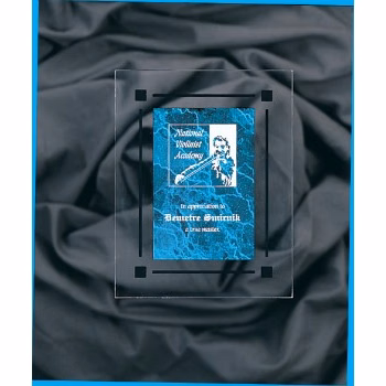 7" x 9" Blue Marble Acrylic Clear-Plaq Award