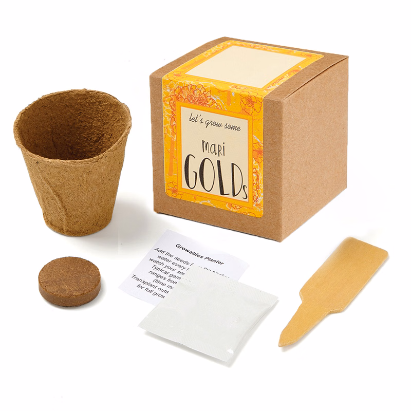 Marigold Growables Planter in Kraft Gift Box w/Seeds
