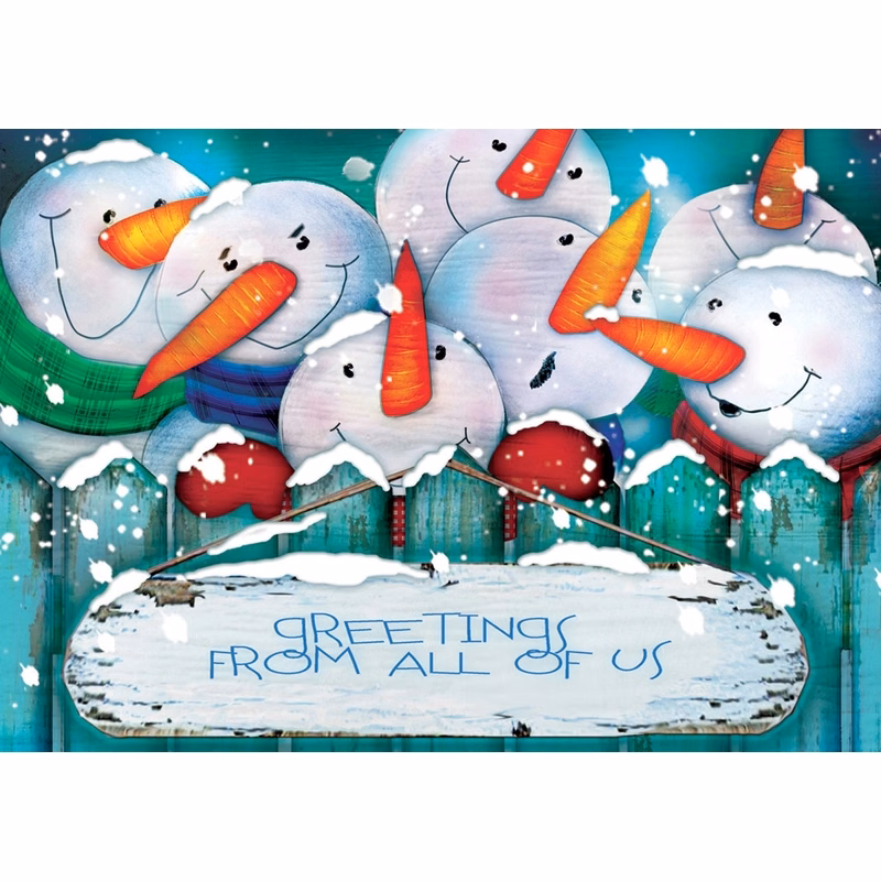 Snowball Bash Holiday Cards