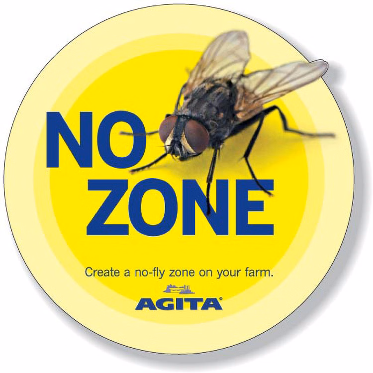 76 to 100 Sq. Inch Floor Graphics 4 Colour Process Decal