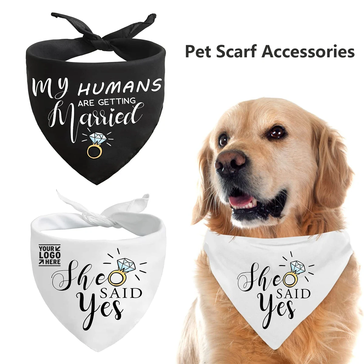 Wedding Engagement Photos, Pet Scarf Accessories 1