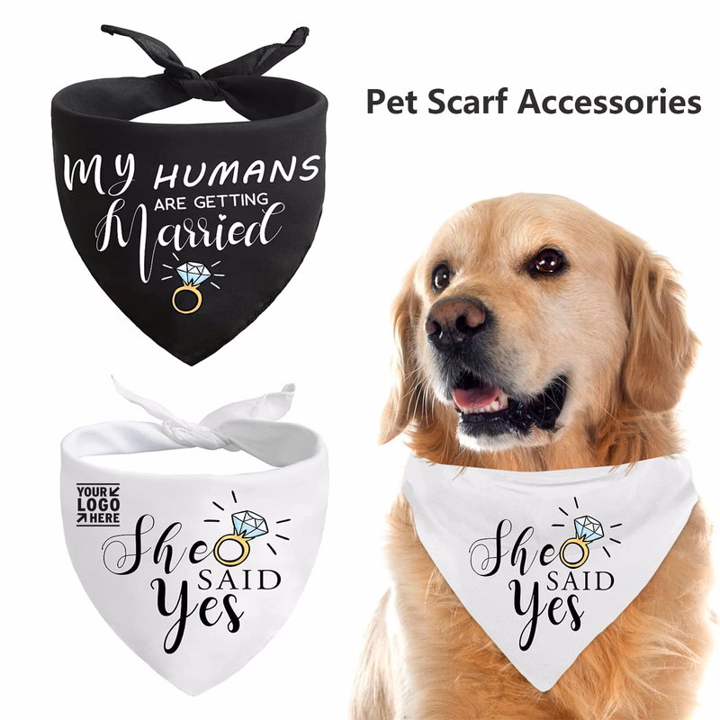 Wedding Engagement Photos, Pet Scarf Accessories