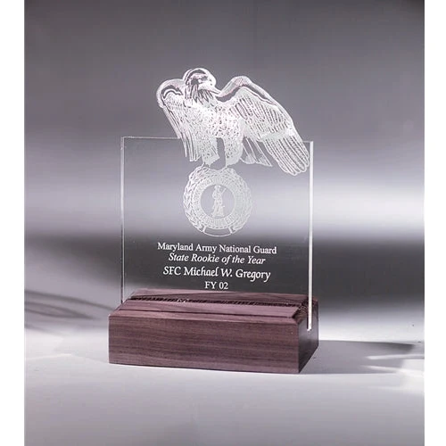 Customizable Acrylic Award 1
